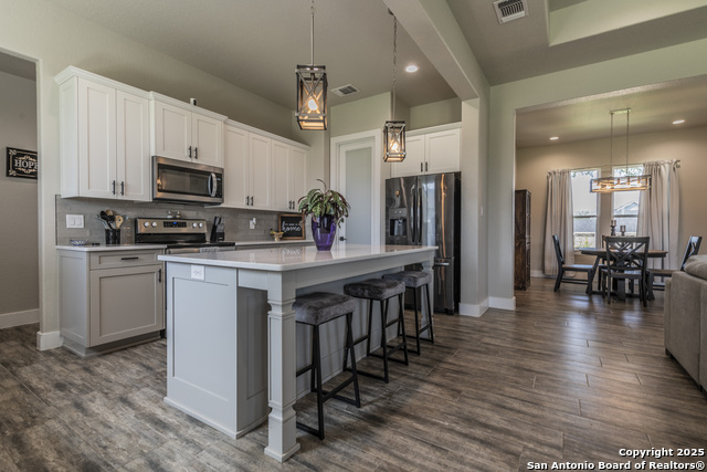 100 N Mahogany Path, La Vernia, Texas image 12