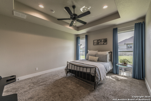 100 N Mahogany Path, La Vernia, Texas image 14