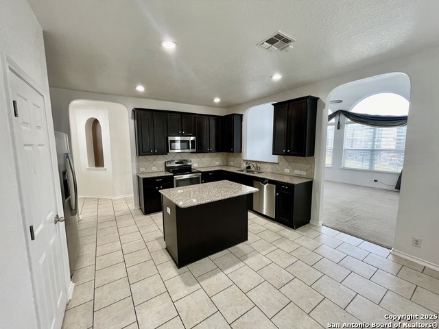 9842 Common Law, Converse, Texas image 11