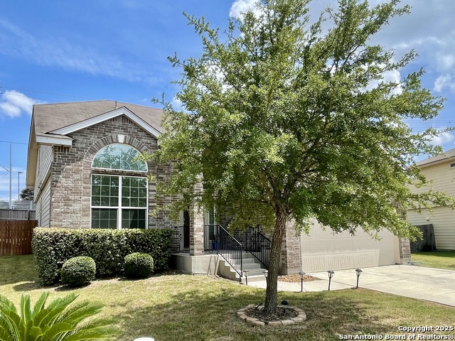 9842 Common Law, Converse, Texas image 3