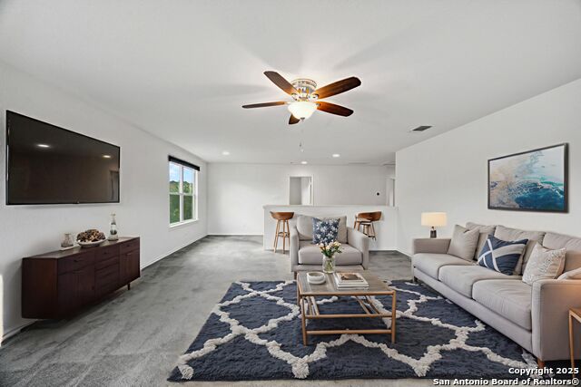 417 Landmark Falls, Cibolo, Texas image 20