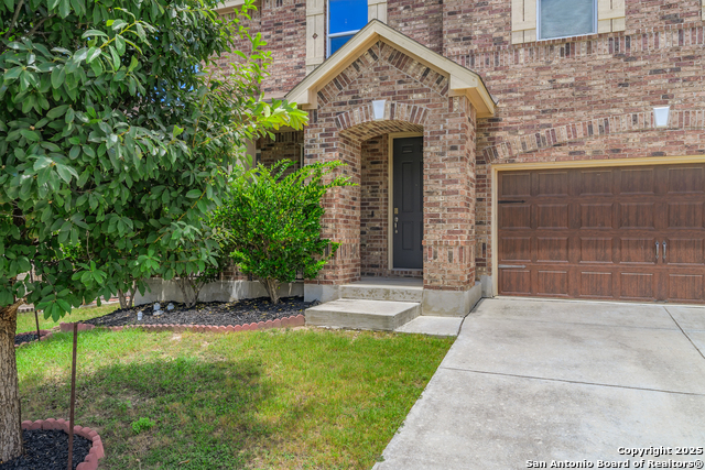 417 Landmark Falls, Cibolo, Texas image 3