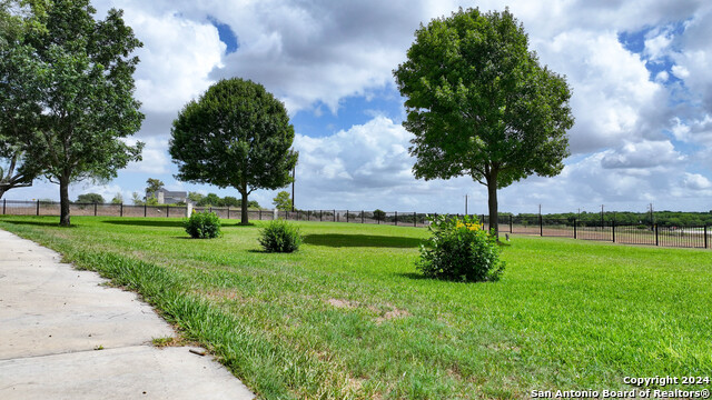 4279 Fm 791, Falls City, Texas image 27