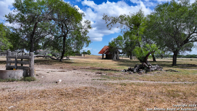 4279 Fm 791, Falls City, Texas image 36