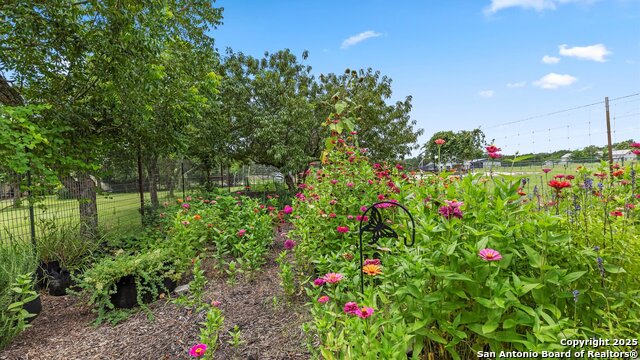 1200 Fulcher, Blanco, Texas image 37