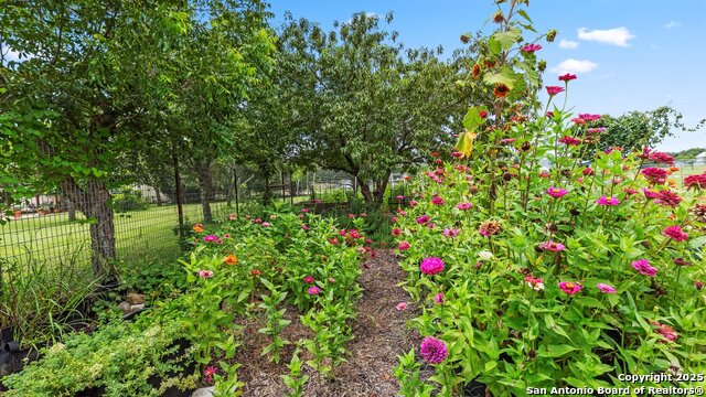 1200 Fulcher, Blanco, Texas image 38