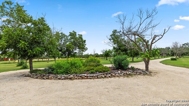 1200 Fulcher, Blanco, Texas image 4