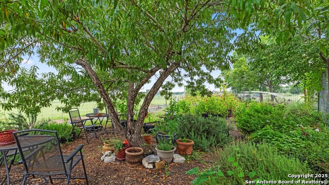 1200 Fulcher, Blanco, Texas image 46