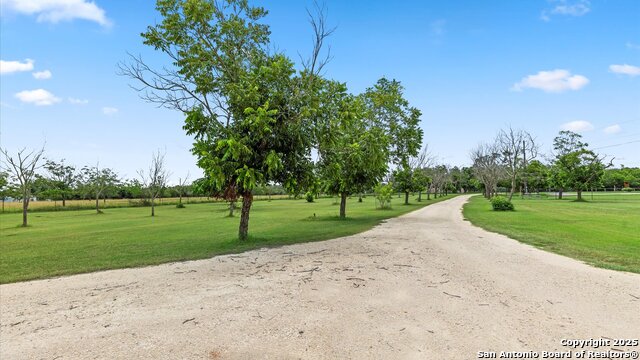 1200 Fulcher, Blanco, Texas image 5
