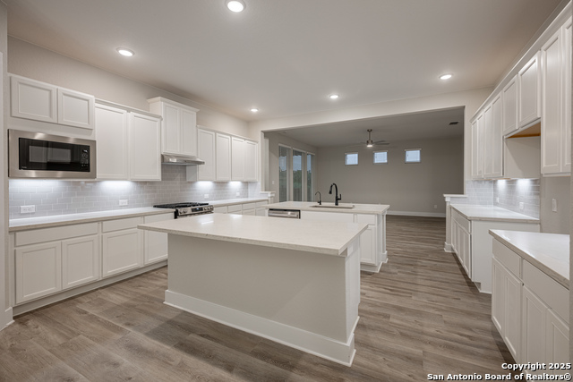 326 Vamanos, Boerne, Texas image 4