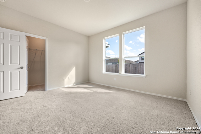 826 Steeplebush, New Braunfels, Texas image 10