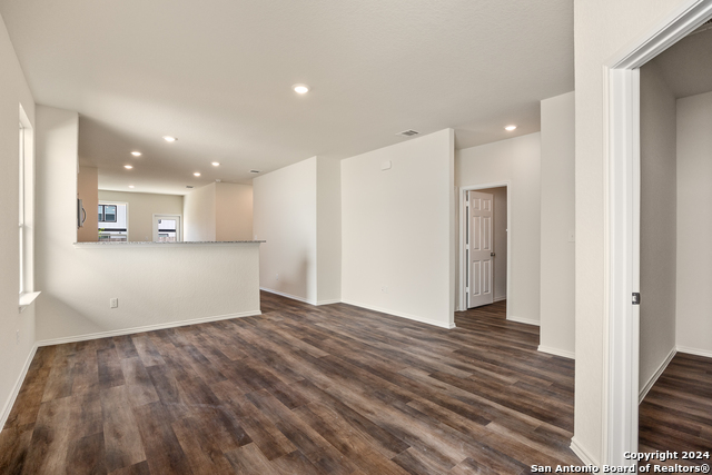 826 Steeplebush, New Braunfels, Texas image 2