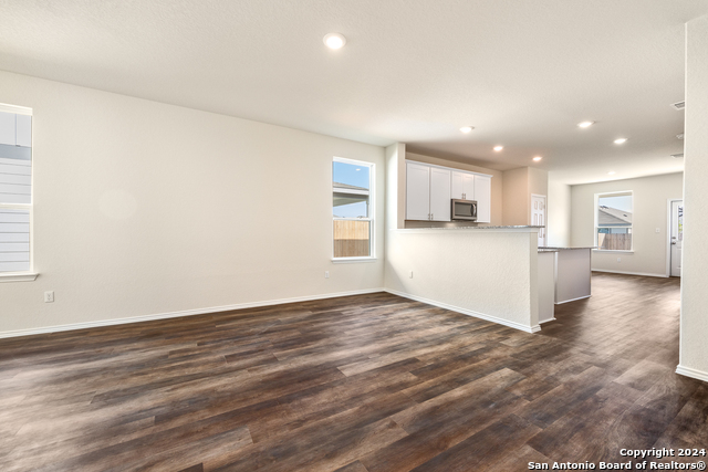 826 Steeplebush, New Braunfels, Texas image 3