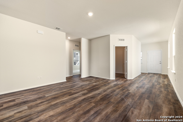 826 Steeplebush, New Braunfels, Texas image 4