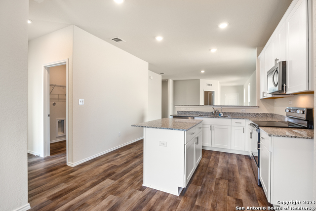 826 Steeplebush, New Braunfels, Texas image 6