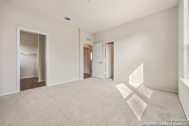 826 Steeplebush, New Braunfels, Texas image 9