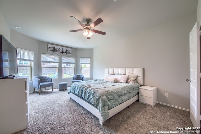 5429 Shasta Place, Saint Hedwig, Texas image 14