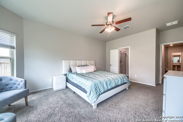 5429 Shasta Place, Saint Hedwig, Texas image 15