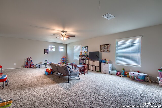 5429 Shasta Place, Saint Hedwig, Texas image 21