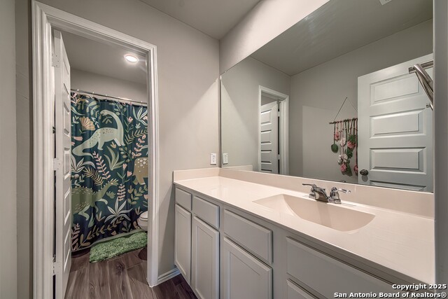 5429 Shasta Place, Saint Hedwig, Texas image 24