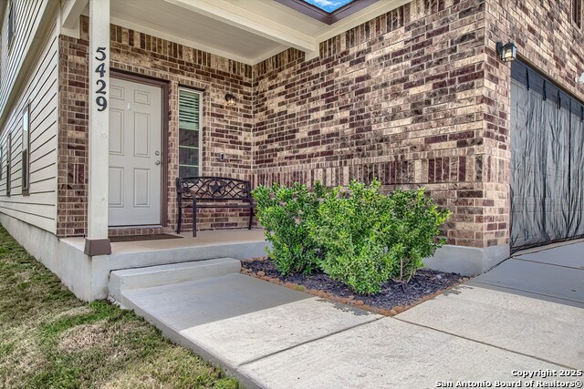 5429 Shasta Place, Saint Hedwig, Texas image 3