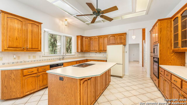 10911 Dedeke, New Braunfels, Texas image 7