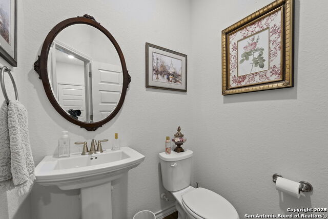 3120 Skipton, Bulverde, Texas image 11