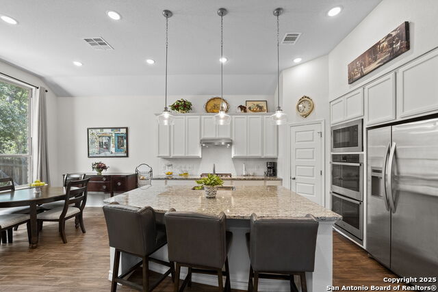 3120 Skipton, Bulverde, Texas image 22
