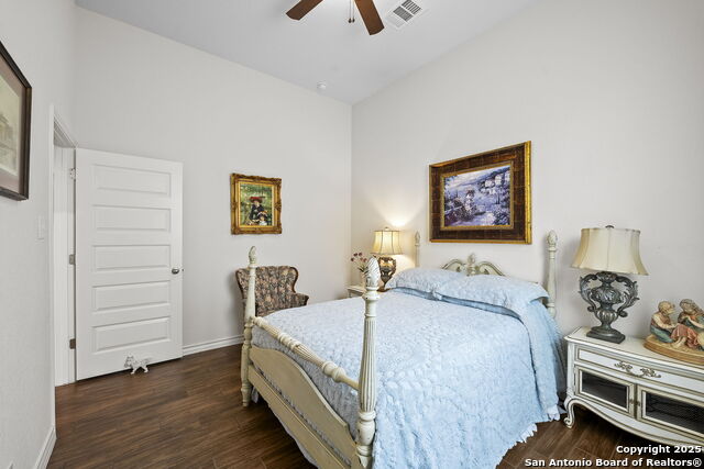 3120 Skipton, Bulverde, Texas image 6