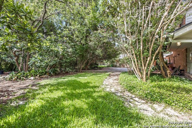 102 W Mossy Cup, Shavano Park, Texas image 48