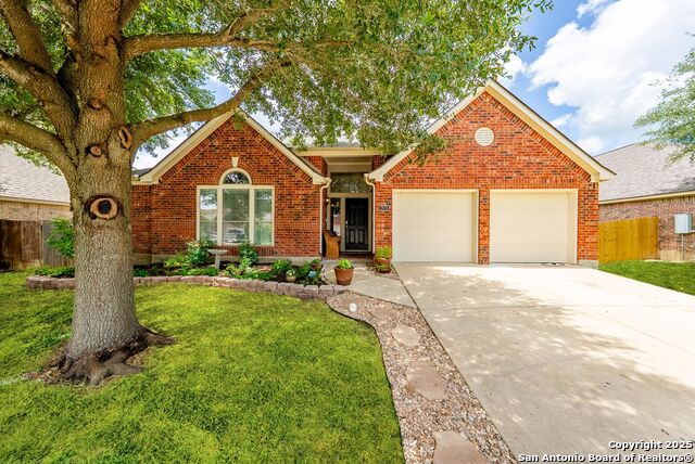 2978 Palomino Pass, Seguin, Texas image 1
