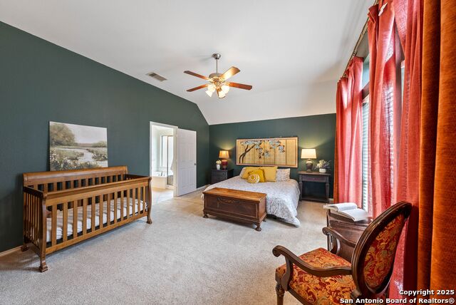 2978 Palomino Pass, Seguin, Texas image 17