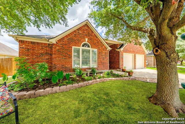 2978 Palomino Pass, Seguin, Texas image 3