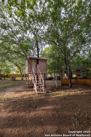 934 7th, Floresville, Texas image 24
