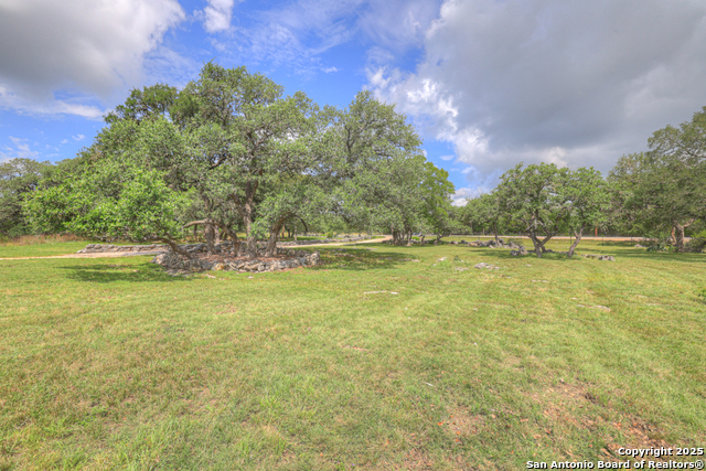 3032 Rolling Oaks, New Braunfels, Texas image 43