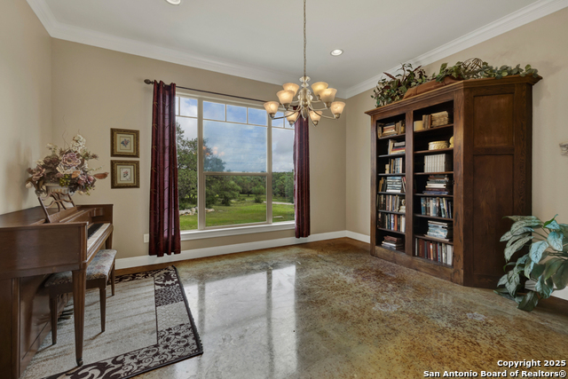 3032 Rolling Oaks, New Braunfels, Texas image 6