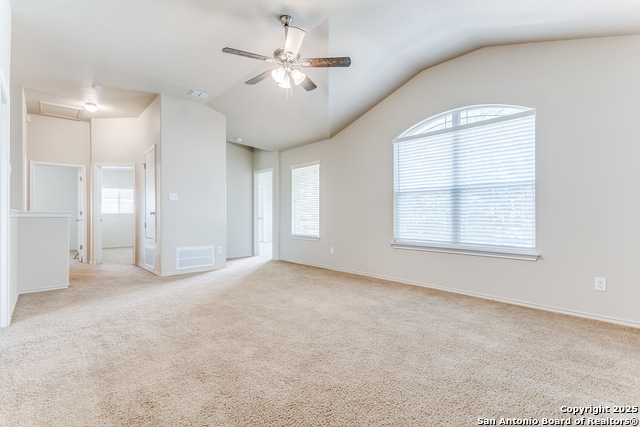 209 Country Vale, Cibolo, Texas image 17