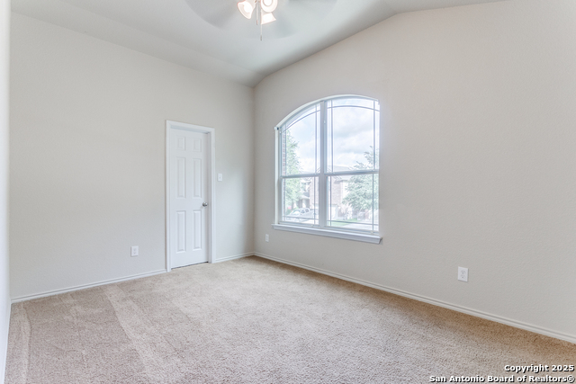 209 Country Vale, Cibolo, Texas image 19