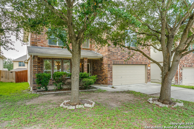 209 Country Vale, Cibolo, Texas image 2