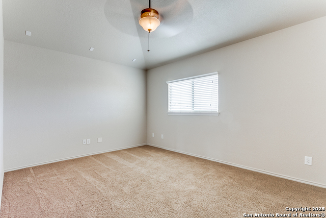 209 Country Vale, Cibolo, Texas image 20