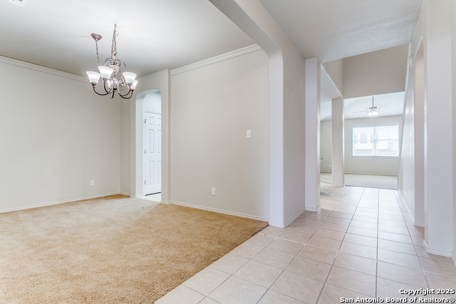 209 Country Vale, Cibolo, Texas image 4