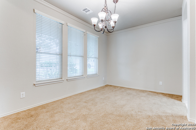 209 Country Vale, Cibolo, Texas image 5