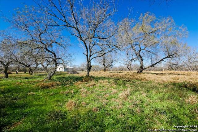 5452 N Fm 666, Mathis, Texas image 6