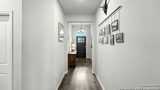 444 Butterfly Bush Ct, New Braunfels, Texas image 2