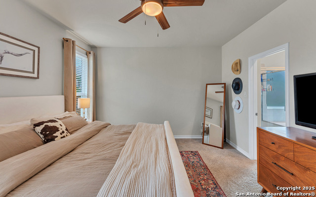 444 Butterfly Bush Ct, New Braunfels, Texas image 23