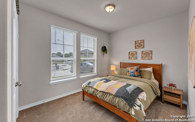 444 Butterfly Bush Ct, New Braunfels, Texas image 28