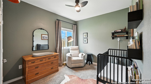 444 Butterfly Bush Ct, New Braunfels, Texas image 29