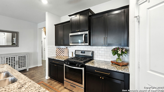444 Butterfly Bush Ct, New Braunfels, Texas image 7