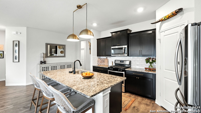 444 Butterfly Bush Ct, New Braunfels, Texas image 9