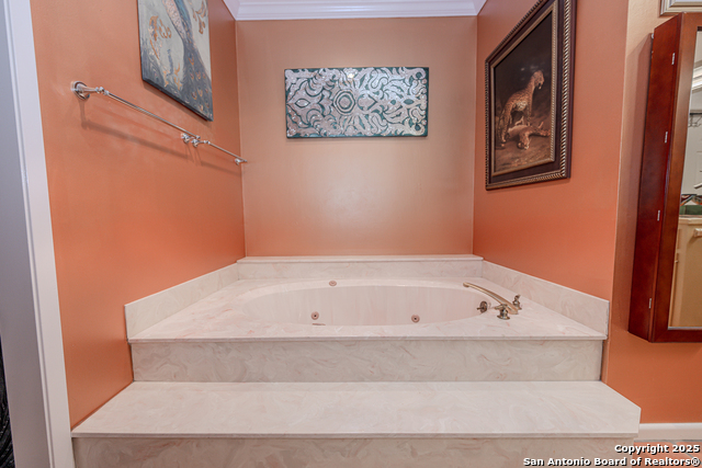 7802 Timber Top Dr, Boerne, Texas image 22